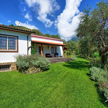 فيلة Oliveta By Posarellivillas Santa Lucia (Lucca)