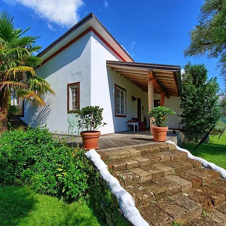 Oliveta By Posarellivillas فيلة Santa Lucia (Lucca)